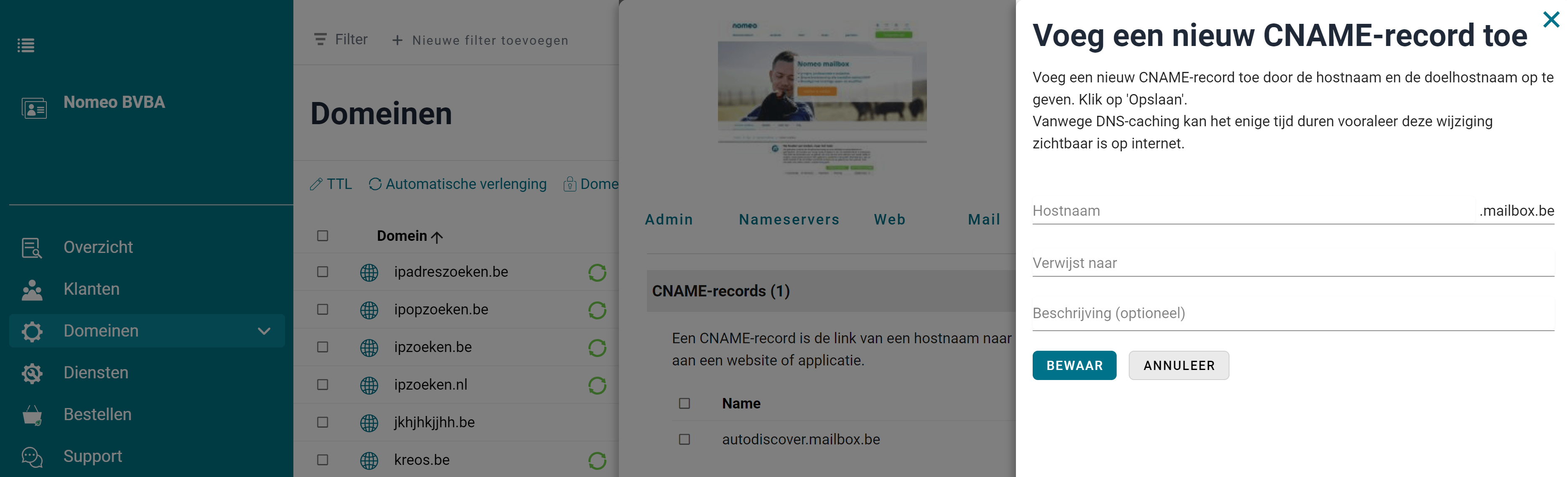 CNAME-records screenshot