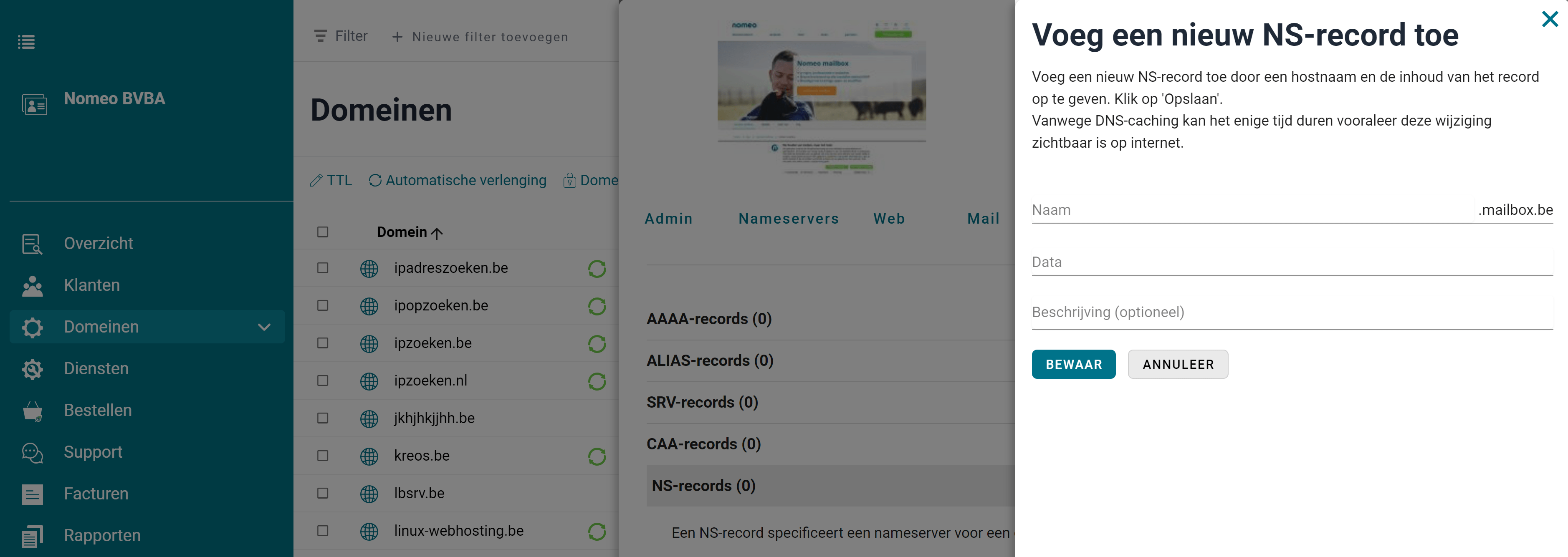 NS-records NS-records screenshot